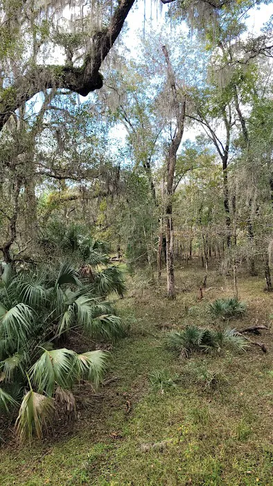 Tillis Hill Recreation Area Picture 4