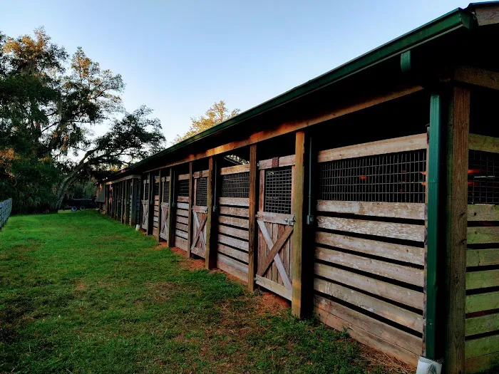 Tillis Hill Recreation Area Picture 1