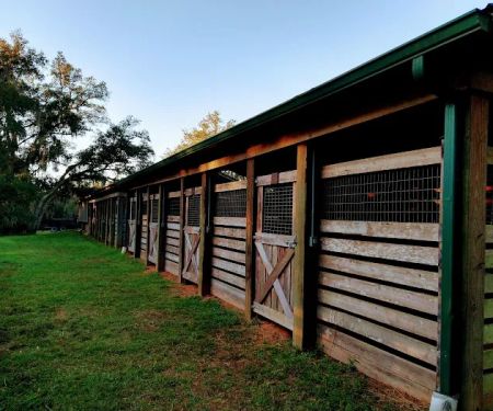 Tillis Hill Recreation Area