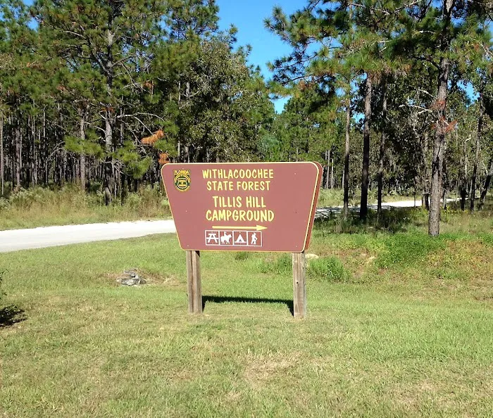 Tillis Hill Recreation Area Picture 2