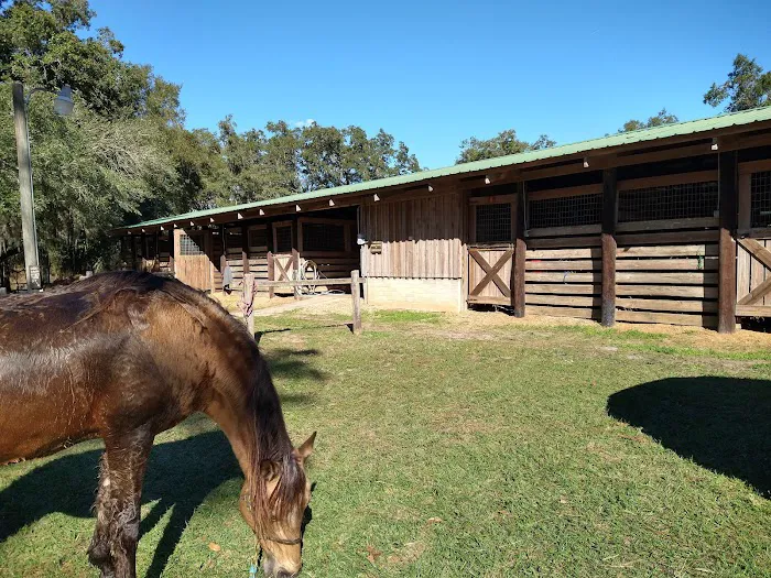 Tillis Hill Recreation Area Picture 6