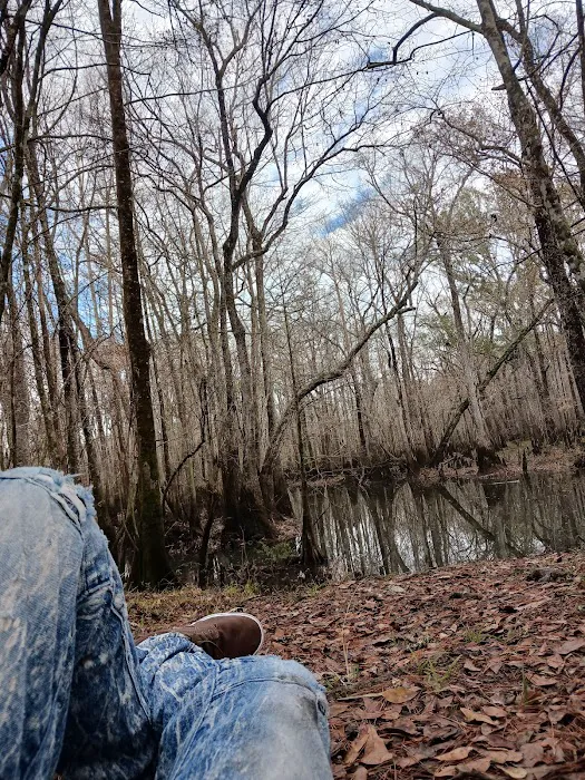 Lost Lake Campsite Picture 2