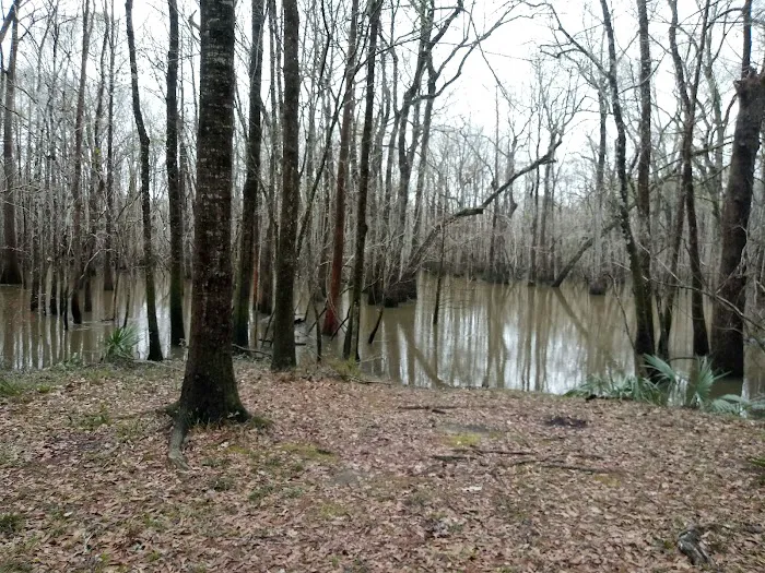 Lost Lake Campsite Picture 10