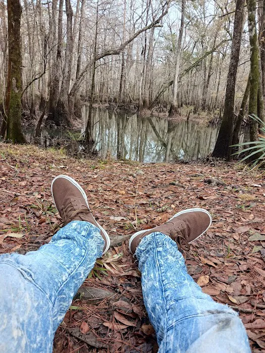 Lost Lake Campsite Picture 7