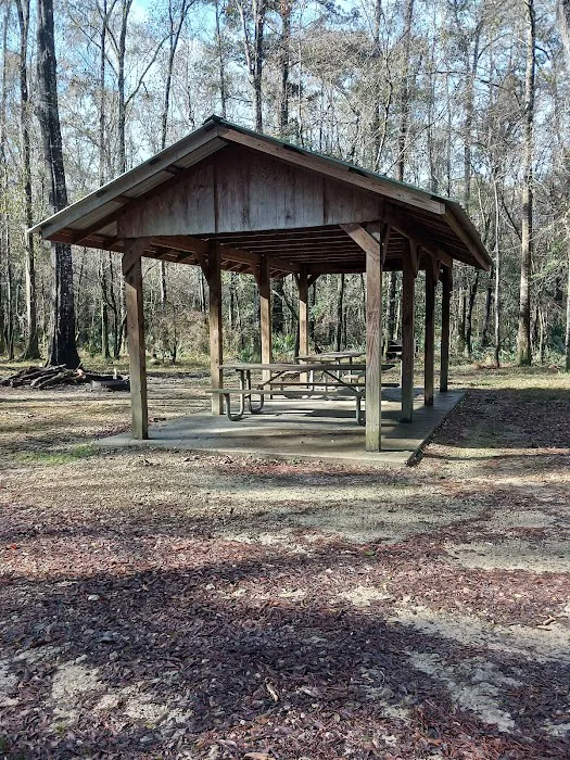 Lost Lake Campsite Picture 8