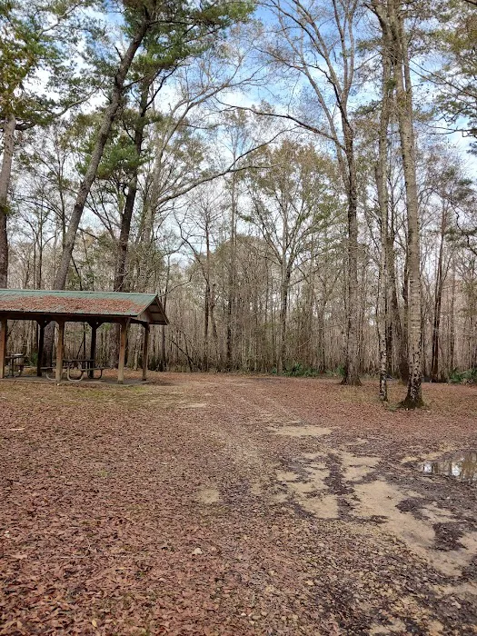 Lost Lake Campsite Picture 1
