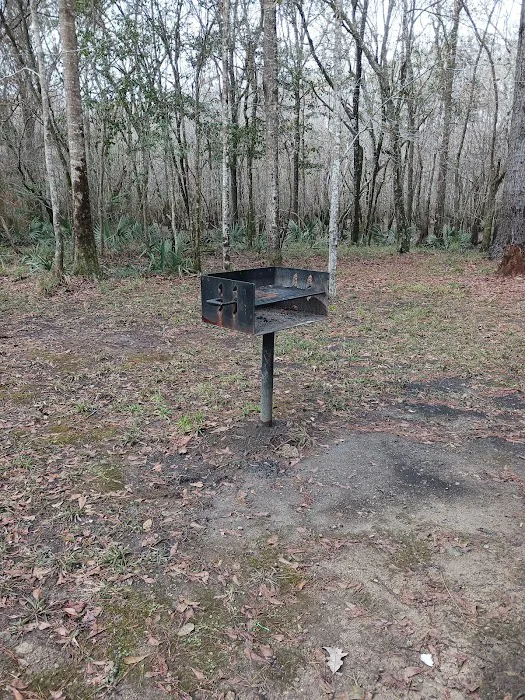 Lost Lake Campsite Picture 3