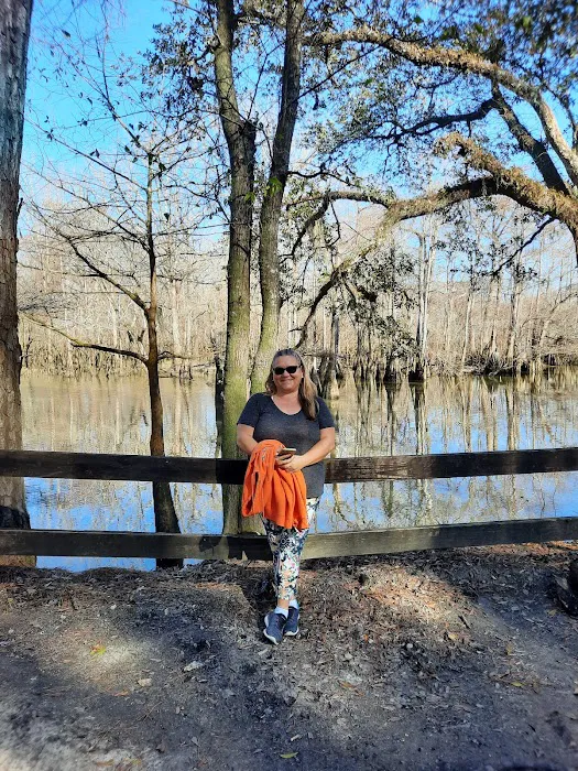 Dead River Landing Campground Picture 3