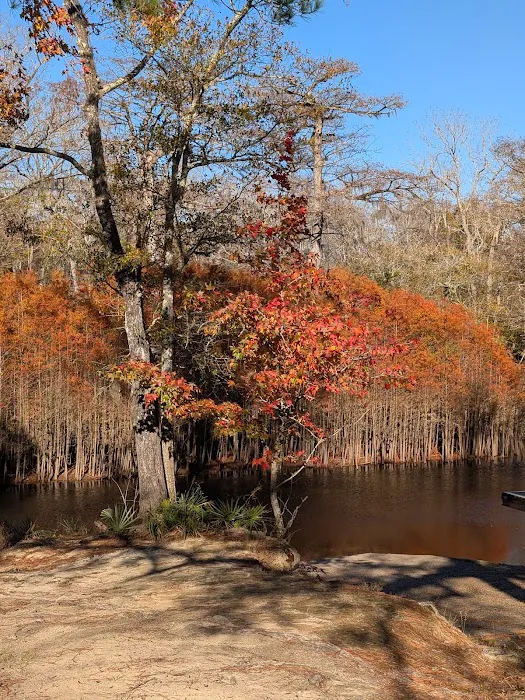 Dead River Landing Campground Picture 2