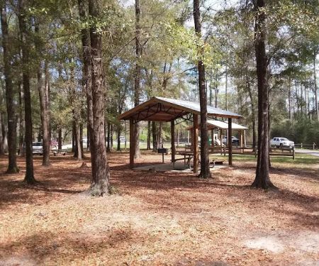 Dead River Landing Campground