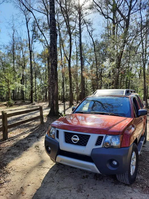 Dead River Landing Campground Picture 4