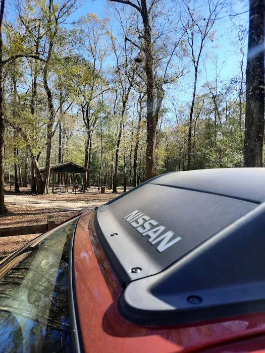 Dead River Landing Campground Picture 7