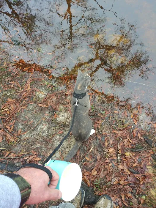 Dead River Landing Campground Picture 8