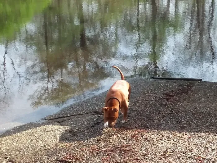 Dead River Landing Campground Picture 10