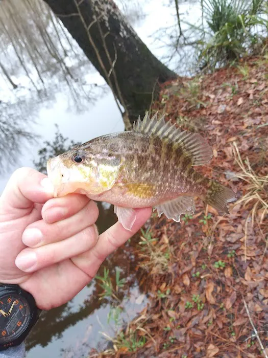 Dead River Landing Campground Picture 6