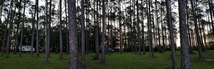 Pinelog State Park Youth Pavilion Picture 3