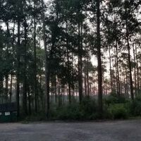 Pinelog State Park Youth Pavilion ico