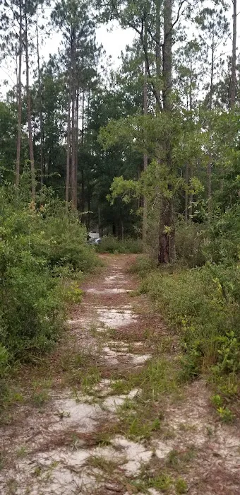 Pinelog State Park Youth Pavilion Picture 6