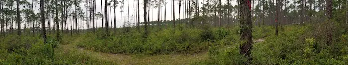 Pinelog State Park Youth Pavilion Picture 9