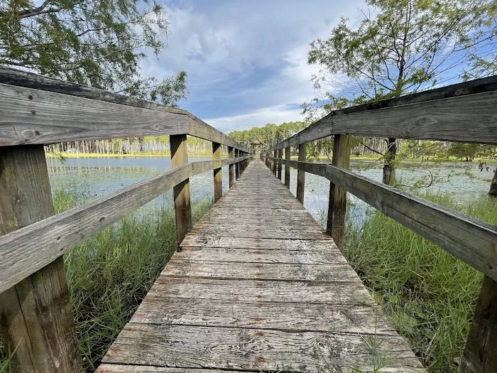 Sand Pond Campground Picture 4