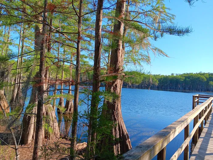 Sand Pond Campground Picture 6