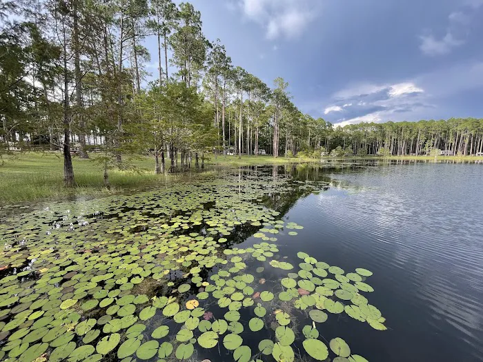 Sand Pond Campground Picture 3