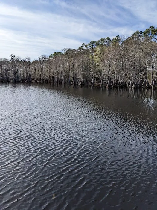 Sand Pond Campground Picture 1