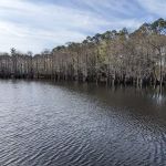 Sand Pond Campground