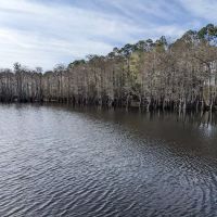 Sand Pond Campground ico