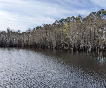Sand Pond Campground