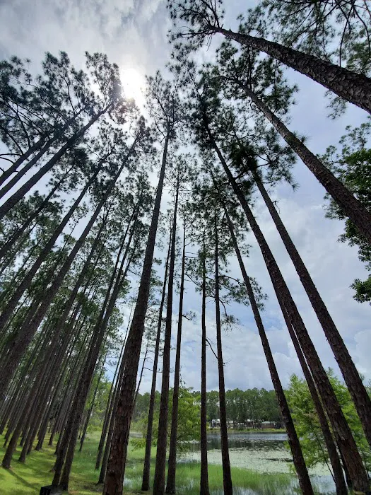 Sand Pond Campground Picture 2