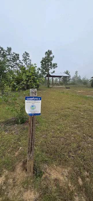 Wolf Pond North Picture 1