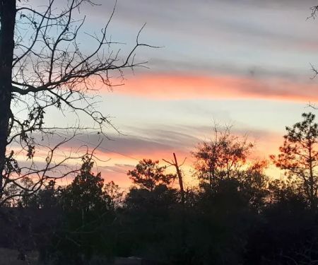 Fountain Florida 32438