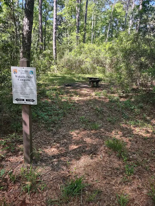 Wakulla Field Campsite Picture 1