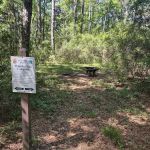 Wakulla Field Campsite