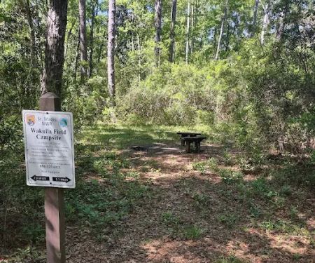 Wakulla Field Campsite