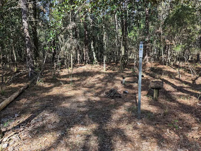 Wakulla River Campsite Picture 1