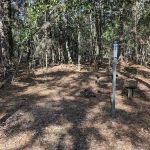Wakulla River Campsite
