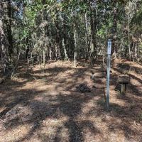 Wakulla River Campsite ico
