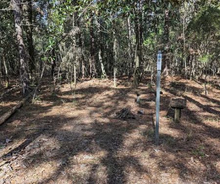 Wakulla River Campsite