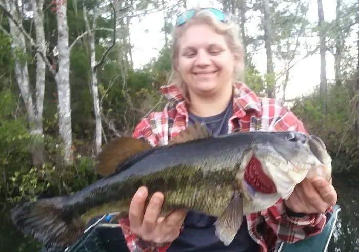 St Marks Powder Campground Picture 1