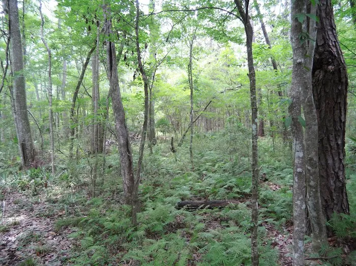 Newport Campground Picture 3