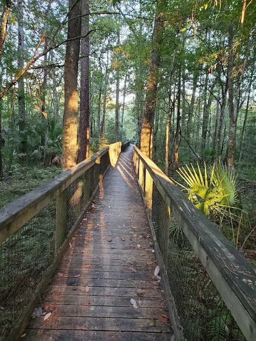 Newport Campground Picture 2