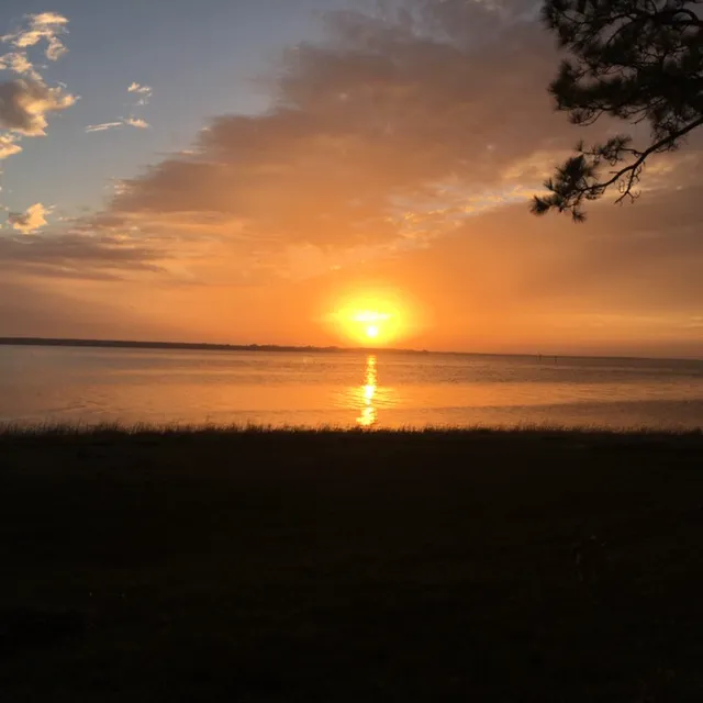 Holiday Campground on Ochlockonee Bay Picture 7