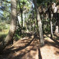 Pinhook River Campsite ico