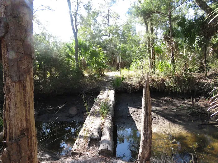 Pinhook River Campsite Picture 2