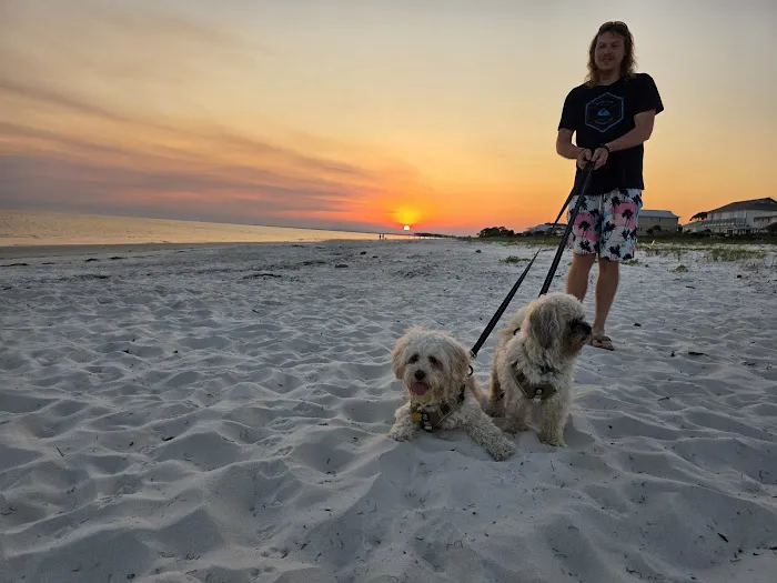 Alligator Point Access Picture 4