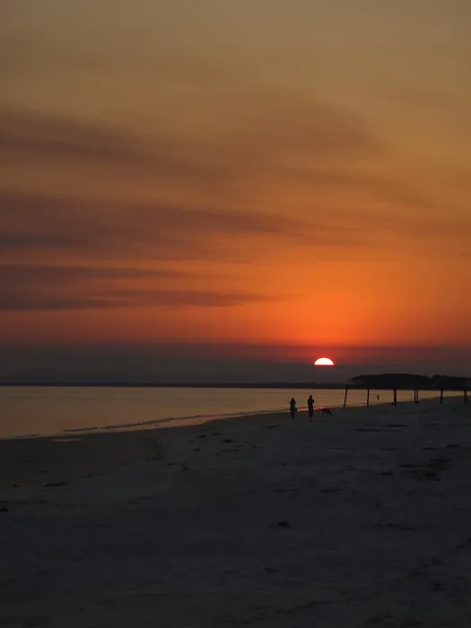 Alligator Point Access Picture 2