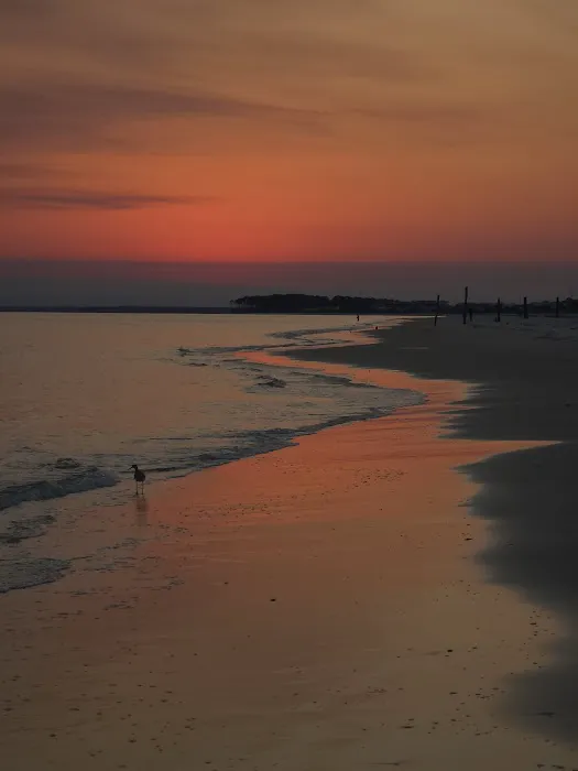 Alligator Point Access Picture 3