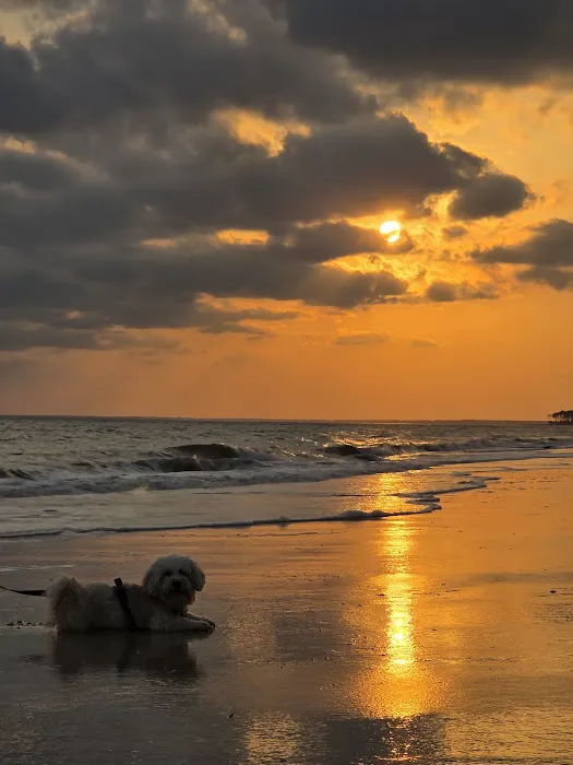 Alligator Point Access Picture 8